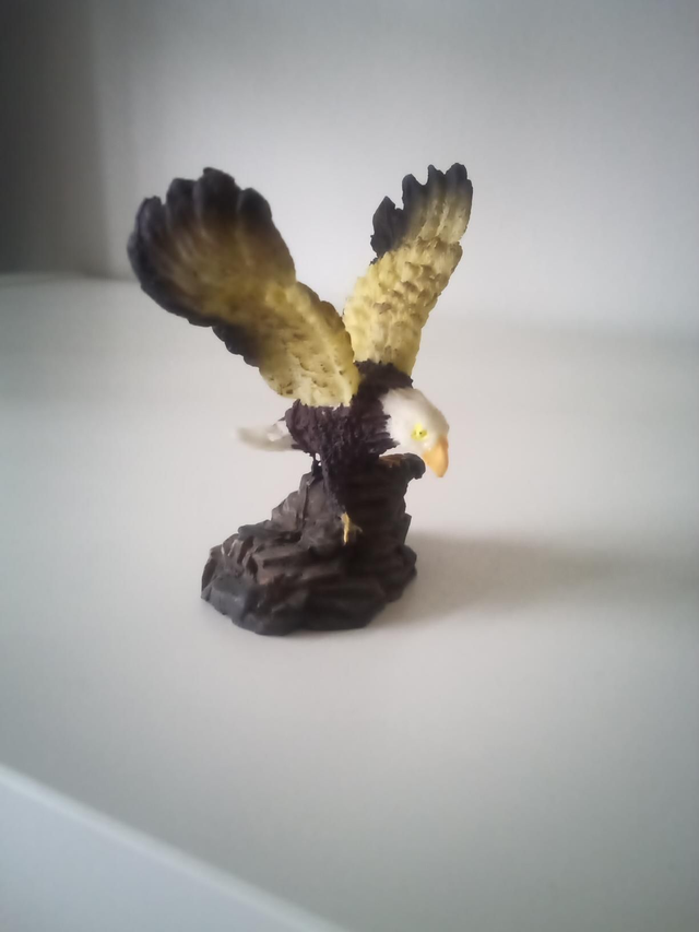 Petit aigle 