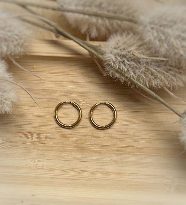 Mini Créoles rondes 16 mm - Acier Inoxydable Doré x2