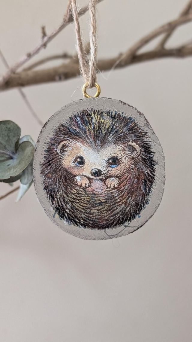 Hedgehog curled in a ball - Log slice