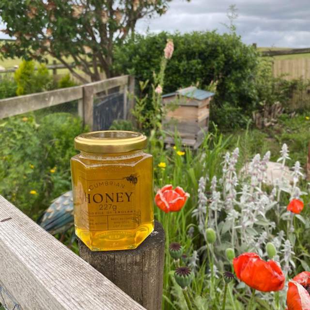 Summer Honey