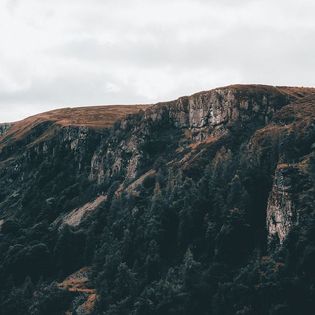 The Collection (50 Lightroom Presets)