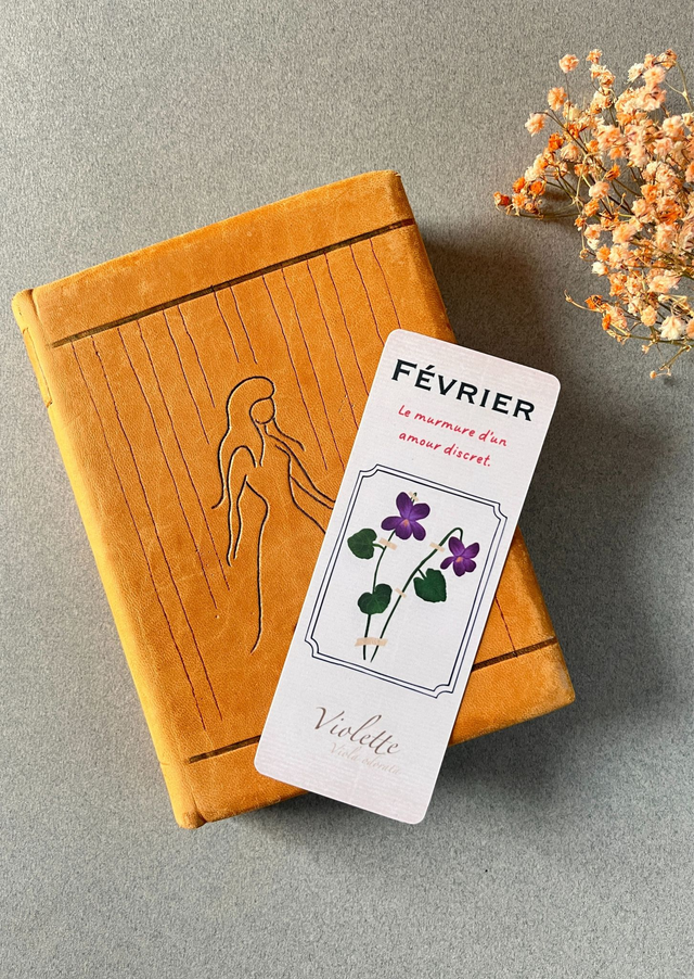 Marque-pages 02. Février, La Violette