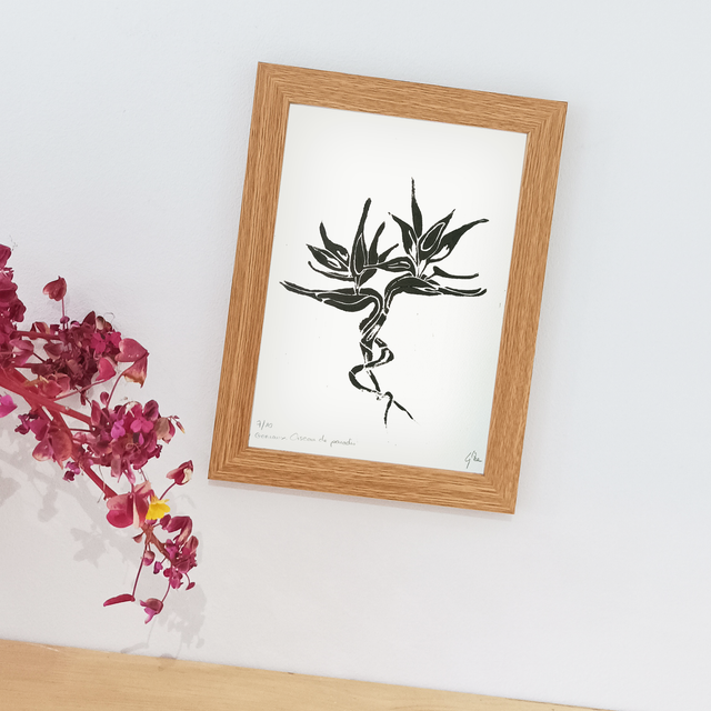 Oiseau de paradis. Gémeaux