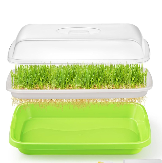 HG Micro Greens Growing Tray (1 set)