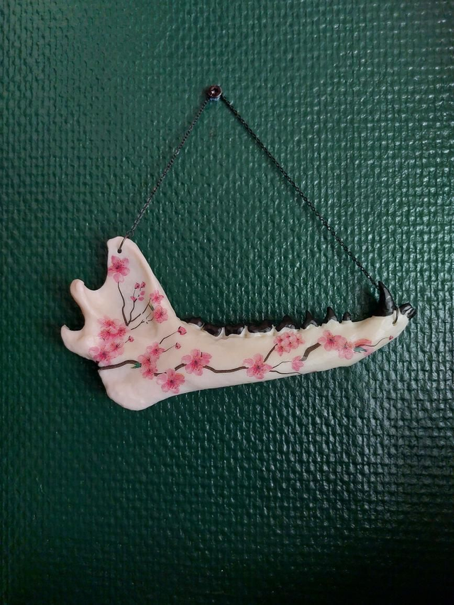 Mâchoire de renard en résine sakura 