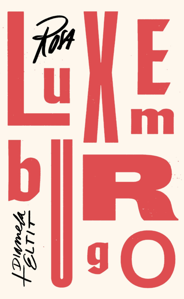 Dime cuándo vienes: Cartas de amor (1893 - 1917) Prólogo de Diamela Eltit - Rosa Luxemburgo