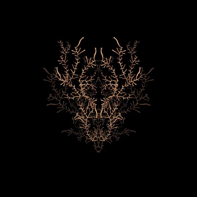 Filon de timidité n°3 | Tirage 1/8