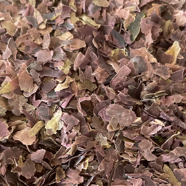 Algue Paillette Bretonne - Dulse Bio - 135€/kg