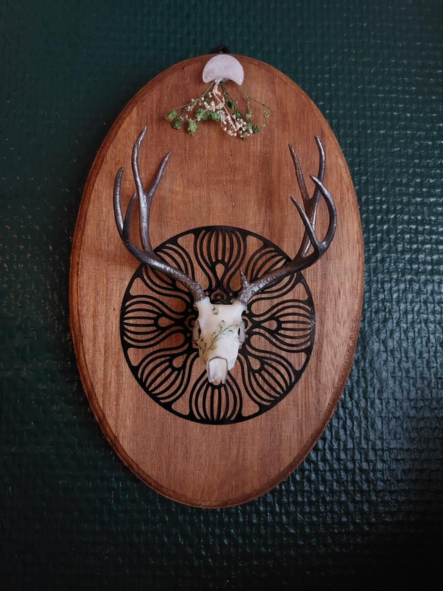 Cadre en bois avec un petit crâne de cerf