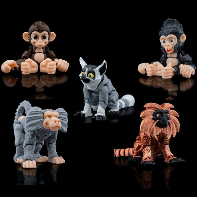 Animaux flexibles : La petite jungle