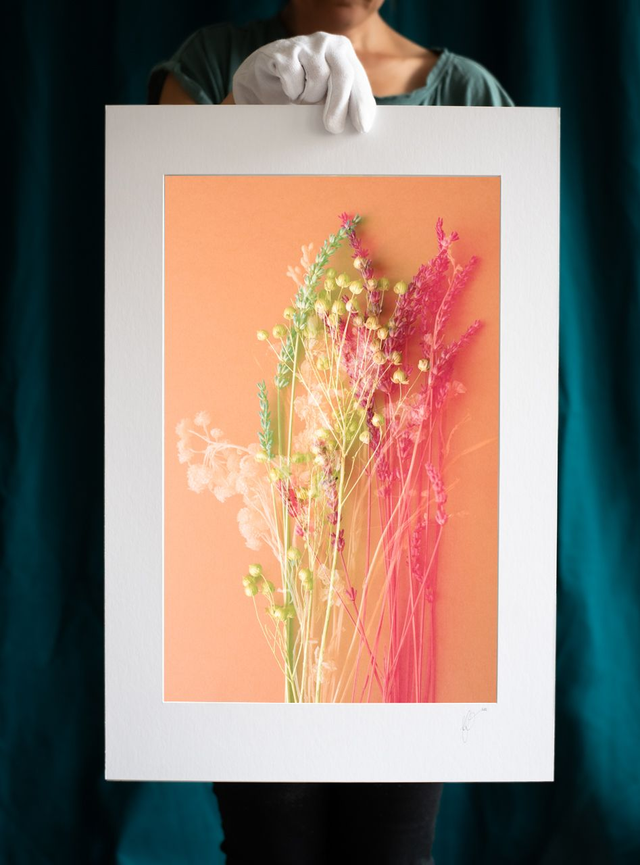 Fleurs éternelles - 6