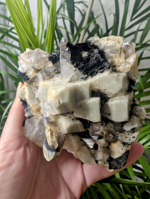 AEGIRINE -       weight 819g / size 10x10x10cm