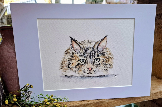 Mr Tabby T print   