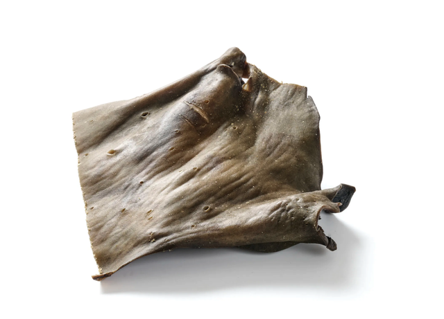 Plaque de peau de chameau 250g