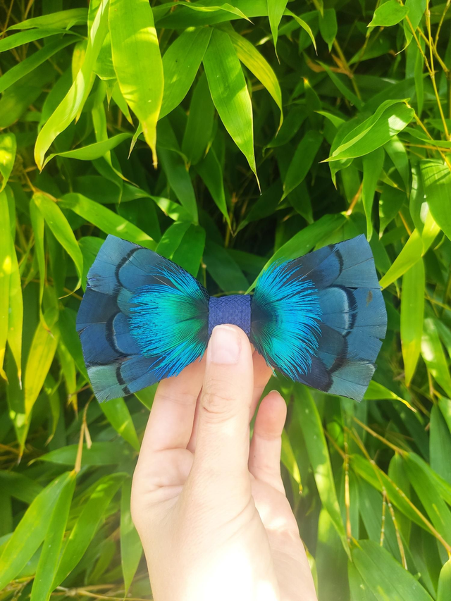 Nœud papillon Tissu et Plumes naturelles de Faisan doré bleu et Paon bleu