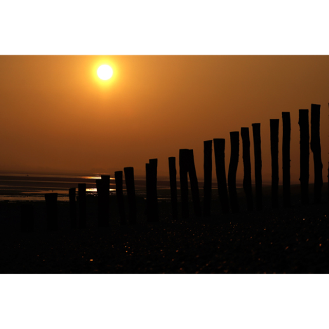 Levé de soleil en baie de Somme - ref: 5985