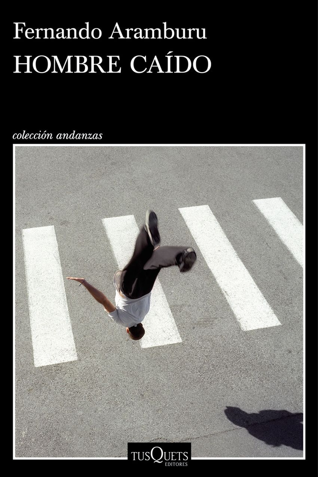 Hombre caído - Fernando Aramburu