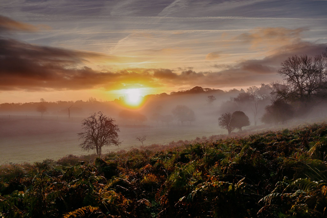 Signed Limited Edition Print - Morning Haze