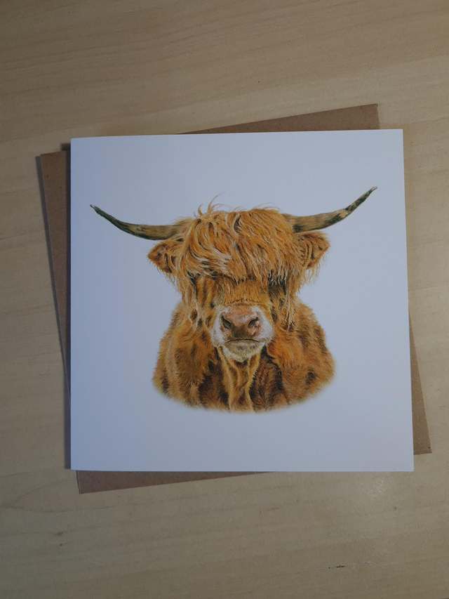 Highland Cow Greeting Card