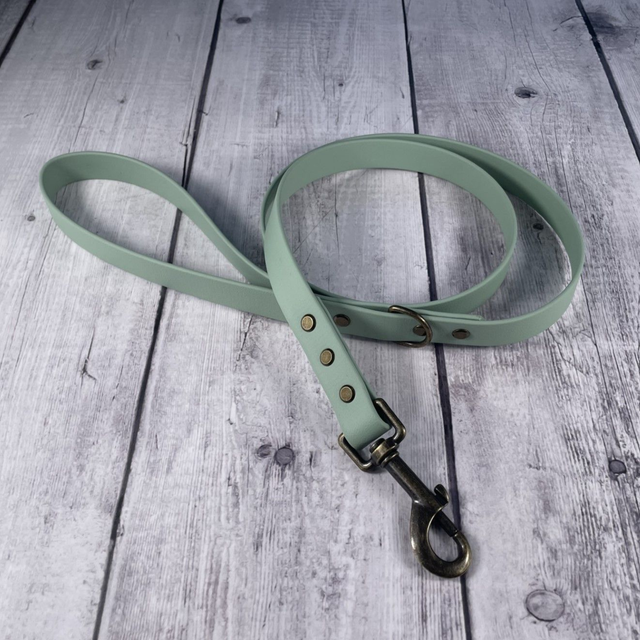 Sage Green Waterproof BioThane® Lead