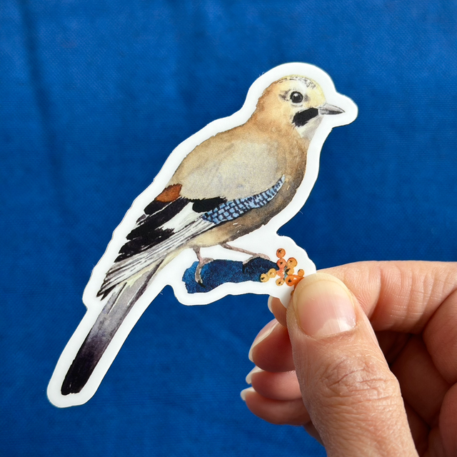 Sticker vinyle Geai des Chênes