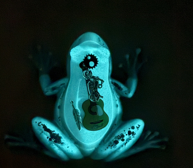 Grenouille Rock and Roll