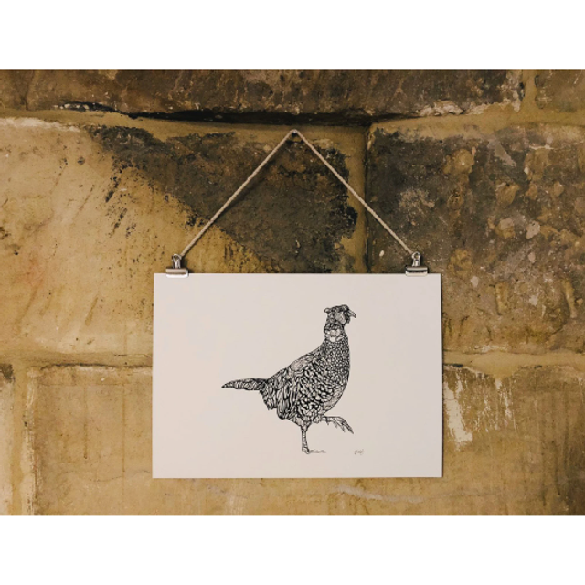 B&W A3 print - pheasant