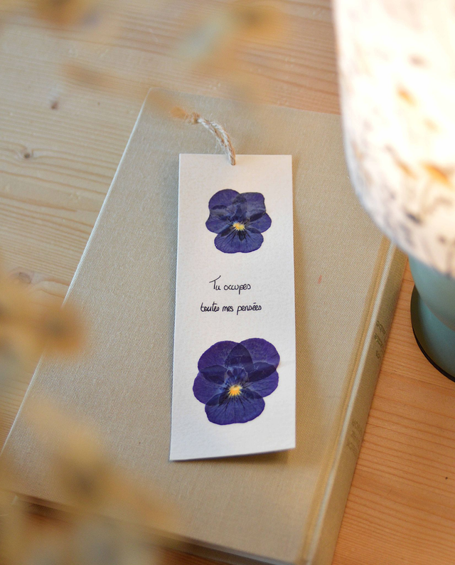 Marque-page de plantes séchées