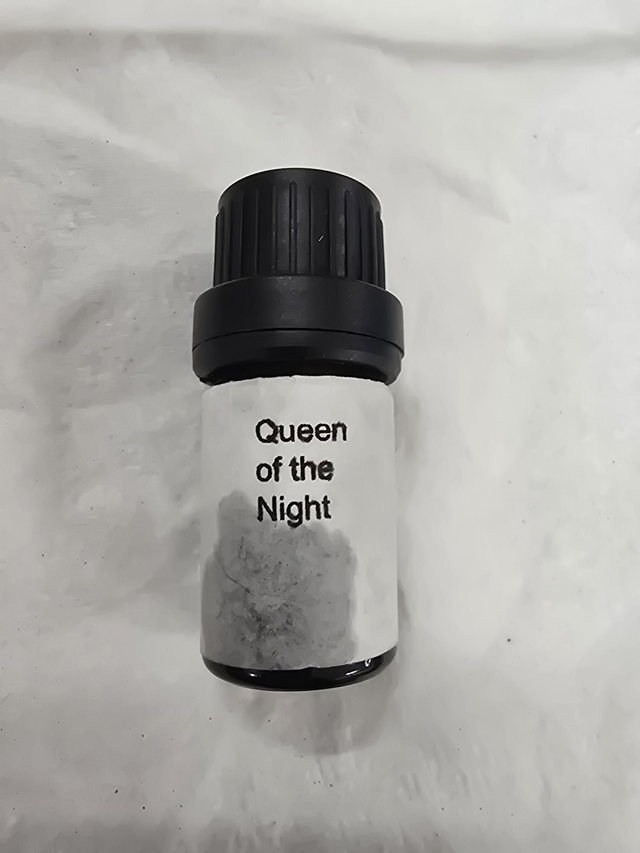 Queen of The Night 