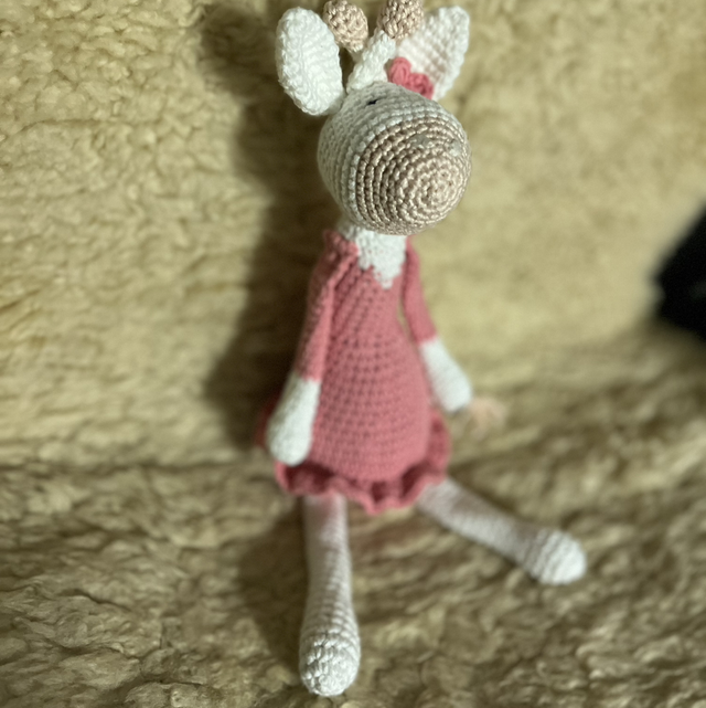 Giraffe in stock random 