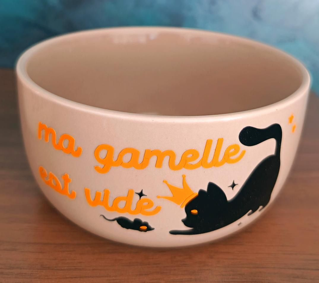 Bol pour chat (disponible)
