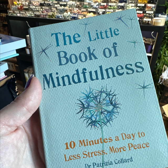 The Little Book Of Mindfulness 