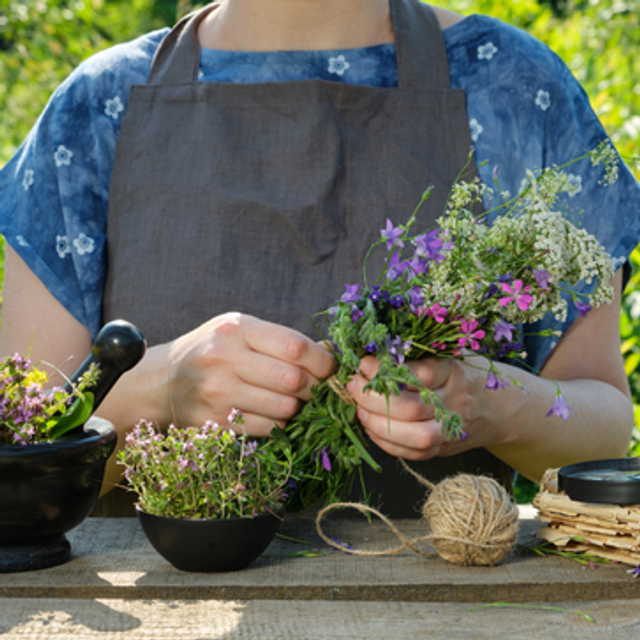 Donazione liberale codice 00AAK+