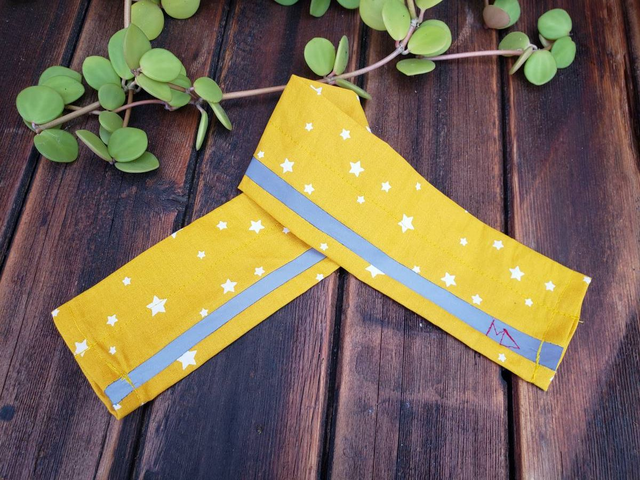 Collier anti-chasse oiseaux pour chat