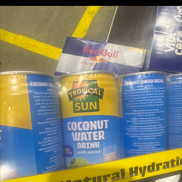 Coconut Water Drink with Pieces Tropical Sun 