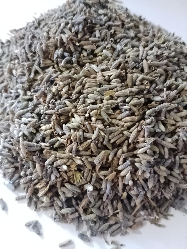 Fleurs de lavandin séchées