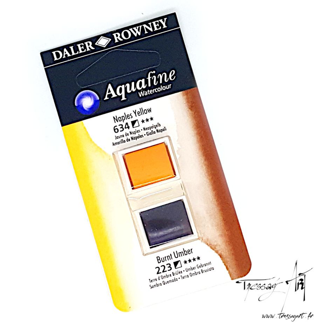 DALER ROWNEY - AQUARELLE DEMI-GODETS par 2 - MARRON 634 &amp; 223 - CA002634