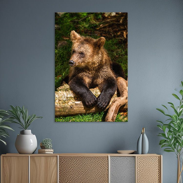 Ours &#039;Tanie&#039; - Faune - Aluminium