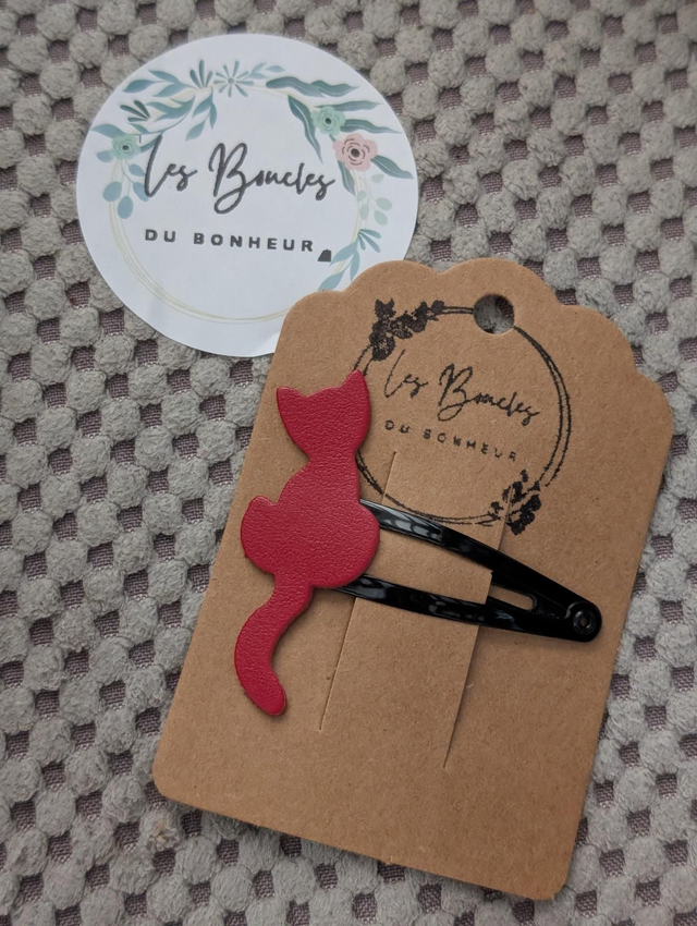 Barrette b019
