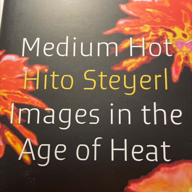 Medium Hot Hito Steyerl
