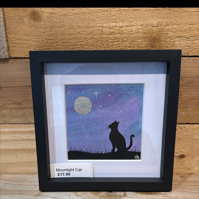 Moonlight Cat 