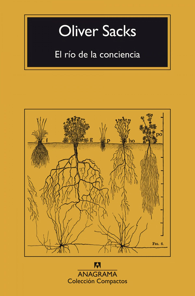 El río de la conciencia - Oliver Sacks