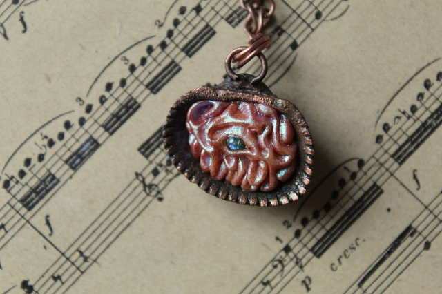 Coquillage Métamorphe ( Cuivré ) n°22