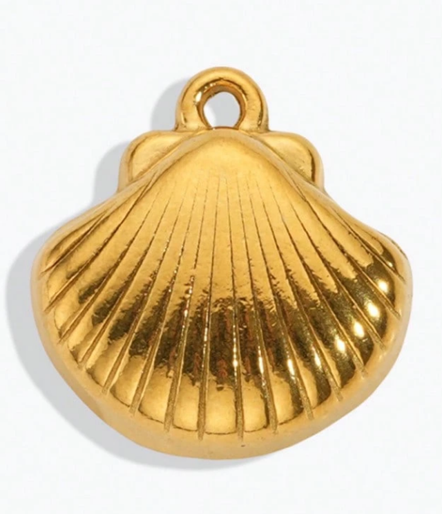 Coquille saint Jacque 