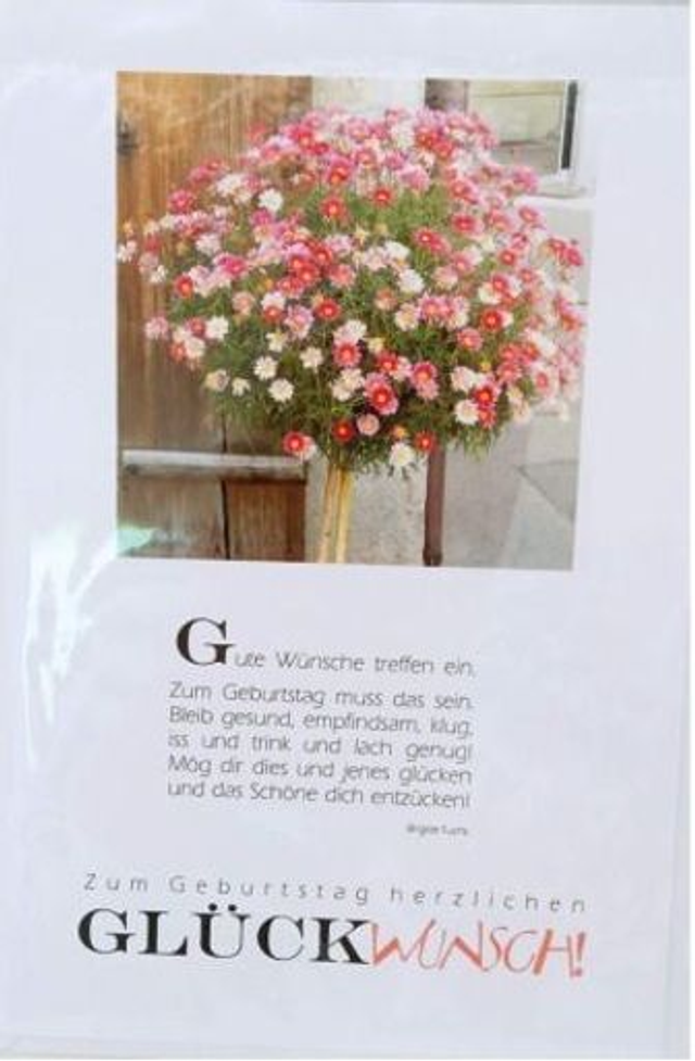 Glückwunschkarten  