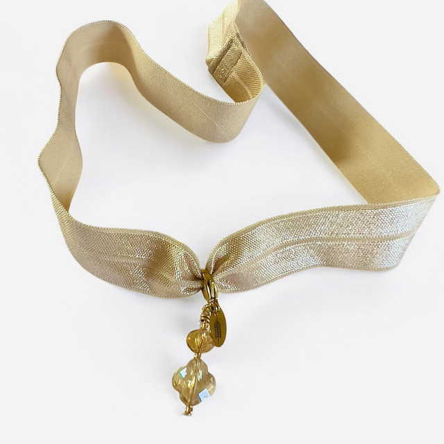 Coffret DOG CHARM BESTY 