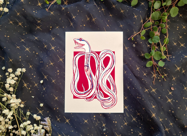 Snake Organs // Postcard