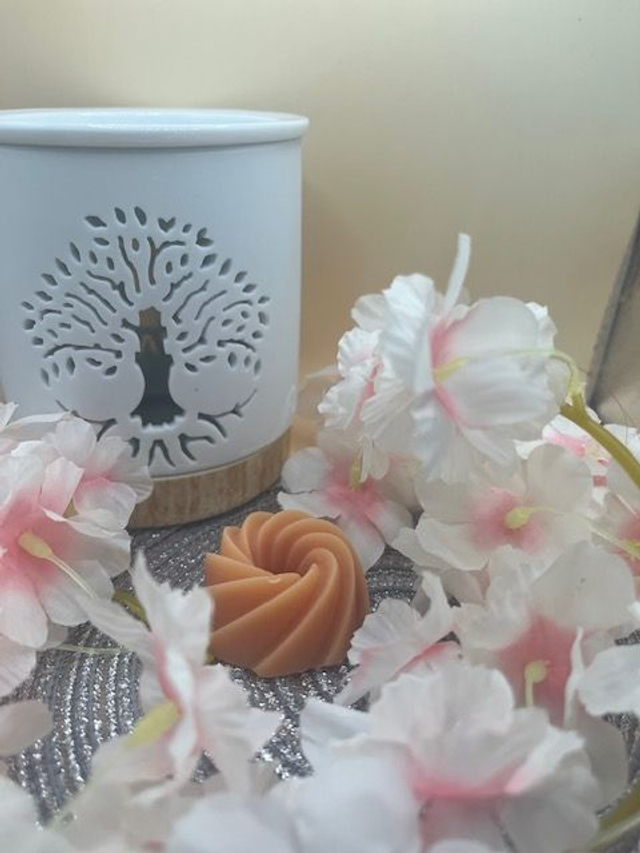 Fondant parfumé Adoucissant fruits tropicaux - 18 grammes