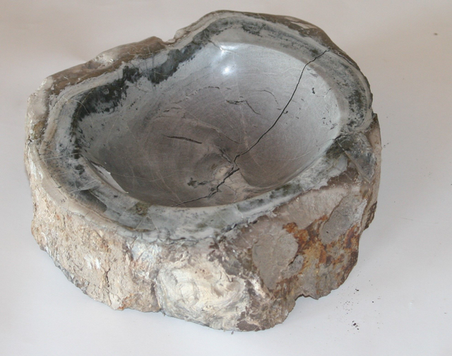 Versteinerte Holzschale