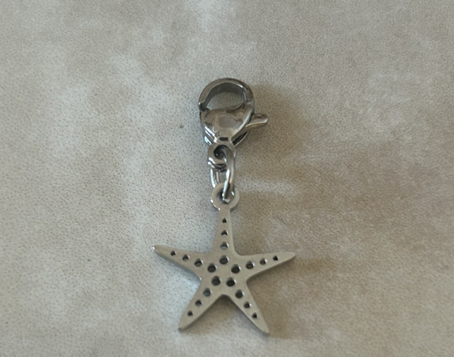 Charms - Étoile de mer
